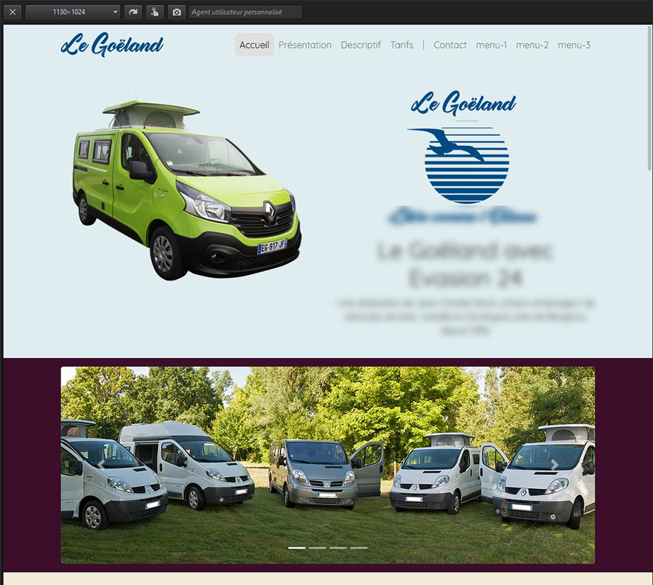 upload/1509041329-40948-goeland-99.jpg