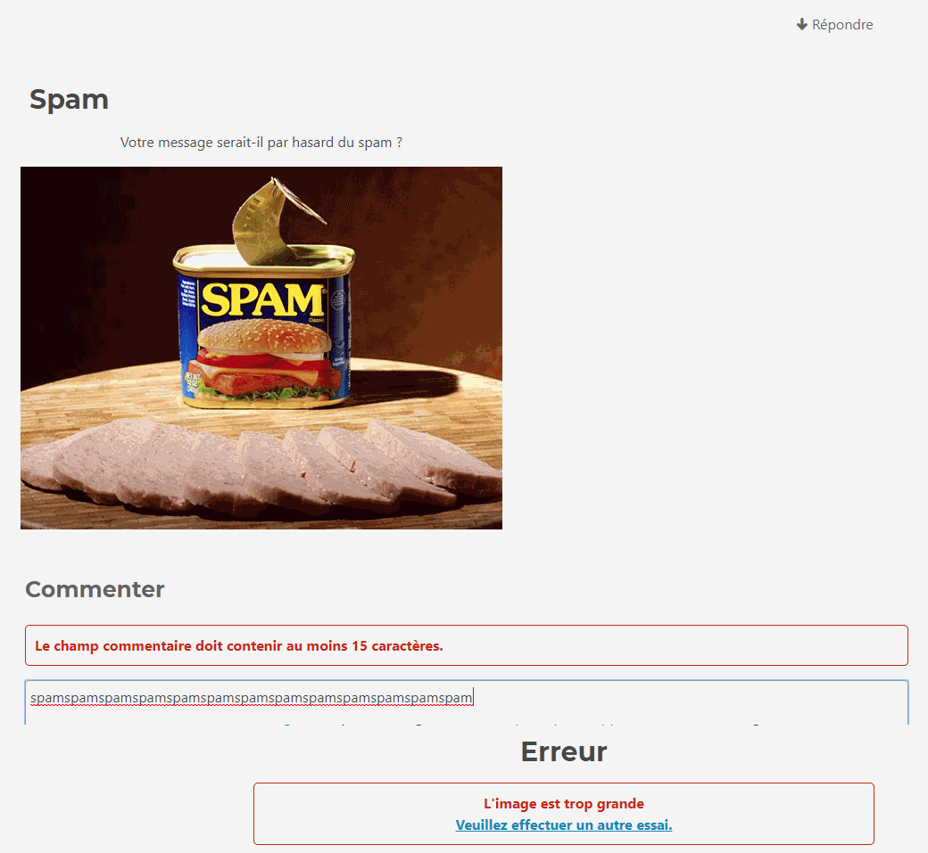 upload/1515340108-48731-spamalsacreation.png