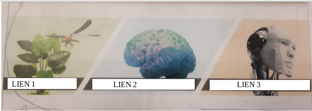 upload/1519206012-69856-testmenu.png