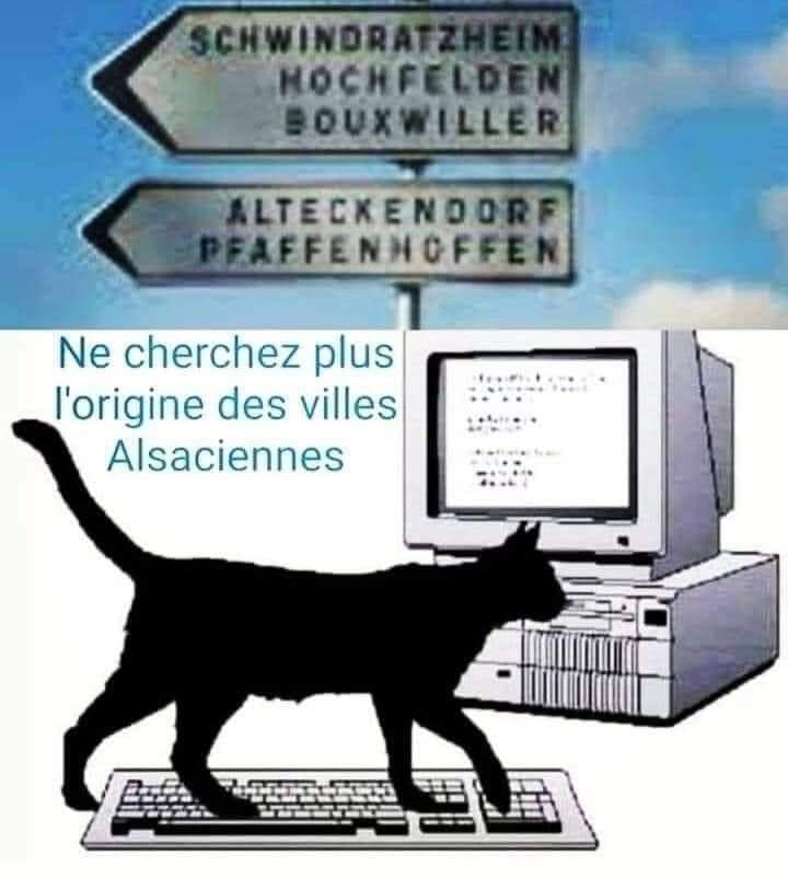 upload/1630396370-11496-24102892690131972747995291803.jpg