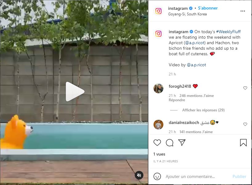 upload/1633263671-73408-insta.jpg