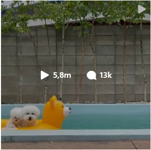 upload/1633263702-73408-insta2.png