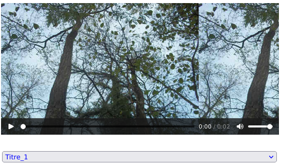 upload/1681822649-67790-audioliste.png