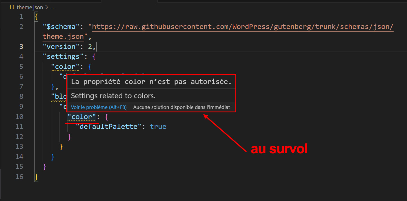 upload/1694883386-40948-theme-json-2.jpg