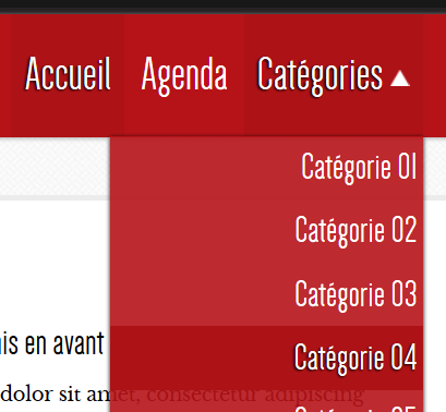 upload/3069-copie-menu.png