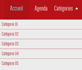 upload/3069-menu-petits.png